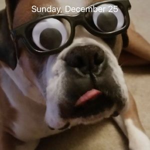 Meet your Posher, Jim